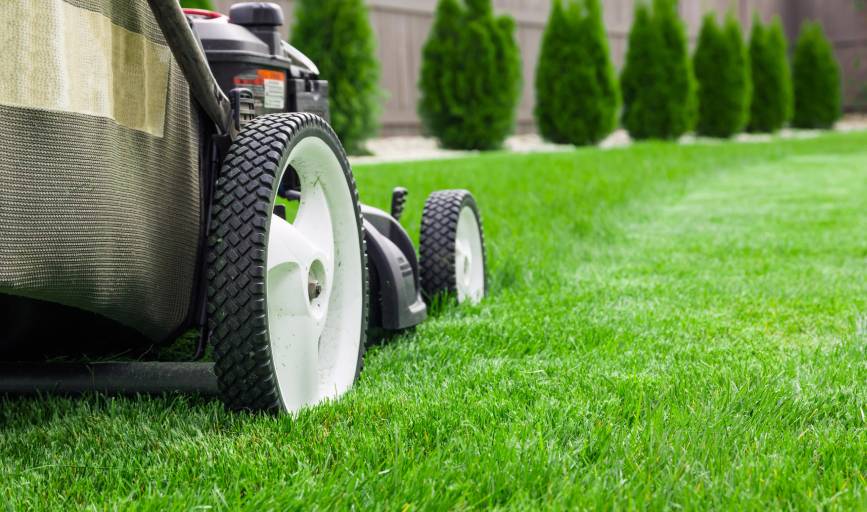 Lawn Mowing